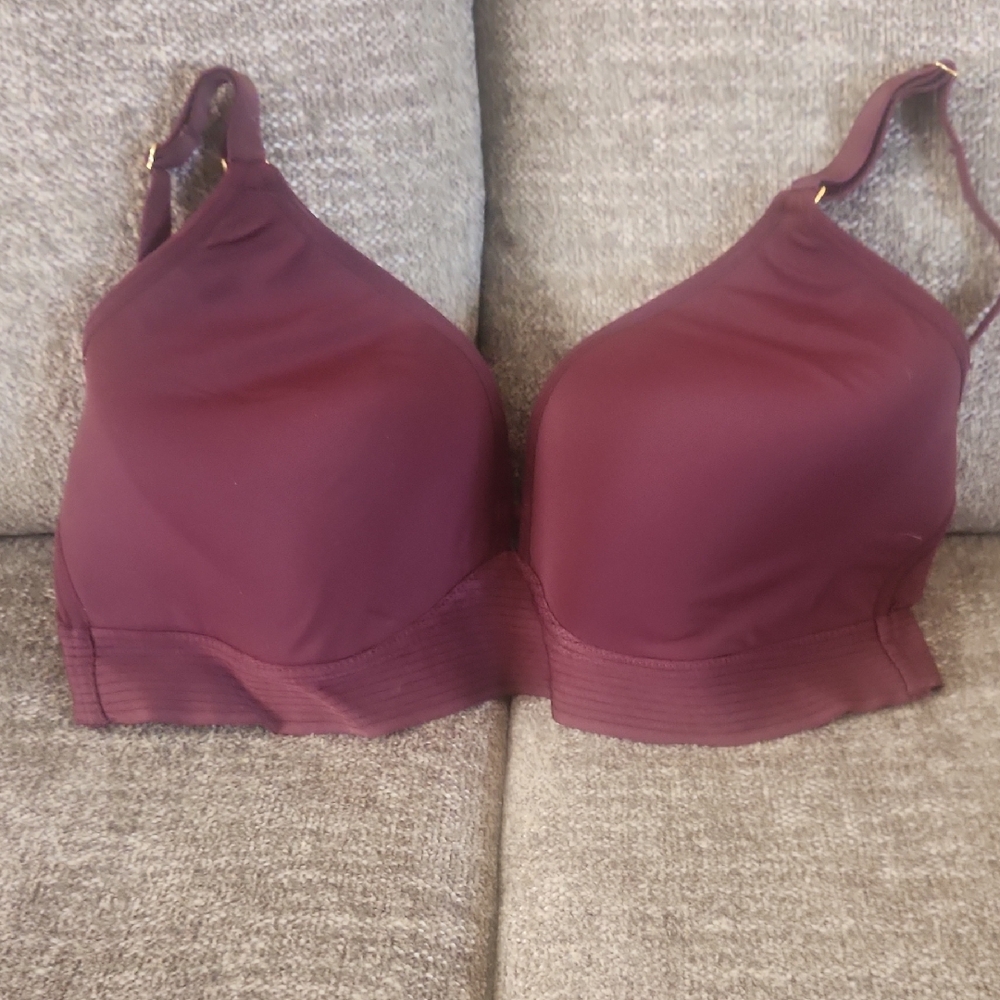 Lively Deep Burgundy Bra 36C
